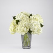 White Hydrangea Bouquet