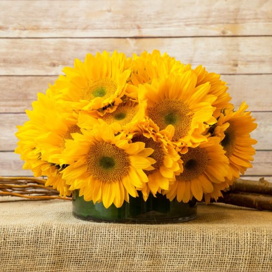 Here Come the Sunflowers - Click Image to Close