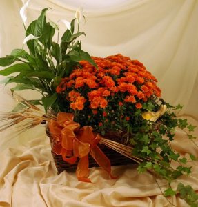 Fall Flowering Planter