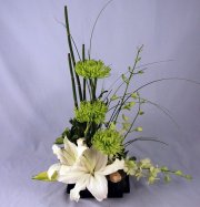 Isle Of Beauty design