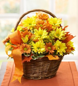 Fall Daisy Basket Fall Daisy Basket