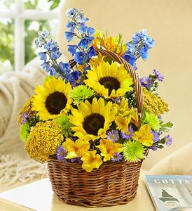 The Summer Basket