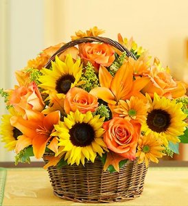 Field of Europe For Fall Basket Field of Europe For Fall Basket