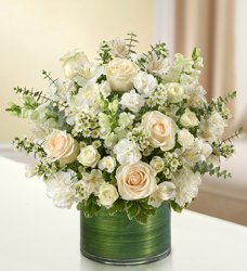 White Cherished Memories