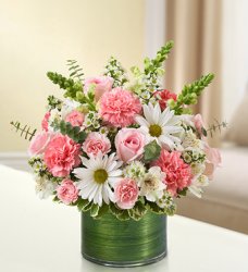 Pink and White Cherished Memories