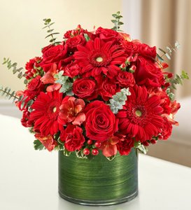 Red Cherished Memories
