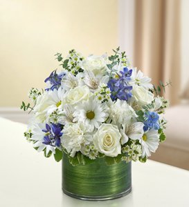 Blue and White Cherished Memories Blue and White Cherished Memories