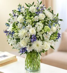 Blue and White Sincerest Sorrow