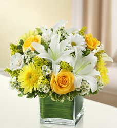 Healing Tears - Yellow