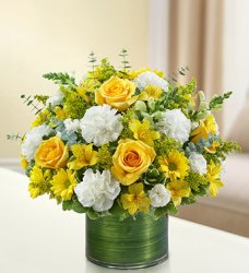 Yellow Cherished Memories
