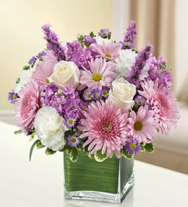 Lavender and White Cube