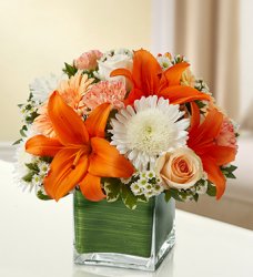 Peach, Orange and White Simplicity Cube
