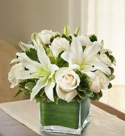 Modern Embrace White Rose And Lily Cube
