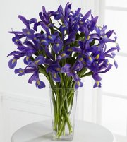 Iris Riches Bouquet
