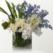 The Blue And White Arrangement