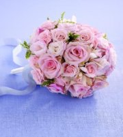 Dawn Rose Bouquet Dawn Rose Bouquet