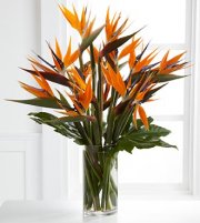 Enticing Luxury Bouquet Enticing Luxury Bouquet