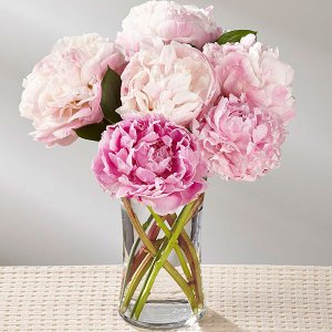 Peony Perfect Bouquet Peony Perfect Bouquet