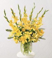 Glowing Tribute Arrangement Glowing Tribute Arrangement