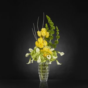 Illuminate Bouquet Illuminate Bouquet