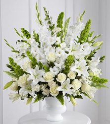 Morning Stars Arrangement