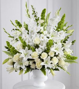 Morning Stars Arrangement
