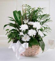 The Peaceful Garden Basket The Peaceful Garden Basket