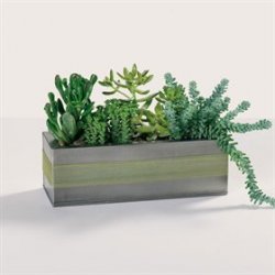 Father's Day Garden