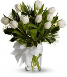 Tulip And Pine Bouquet