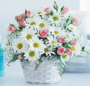 New Baby Girl Basket