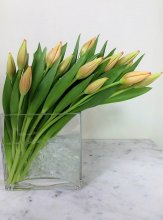 Swept Away Tulip Bouquet