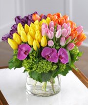 A Frenzy Tulip Bouquet - 80 Tulips  A Frenzy Tulip Bouquet - 80 Tulips