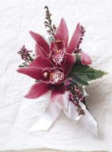 Red Orchid Corsage Red Orchid Corsage