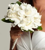 White Dreams Bouquet White Dreams Bouquet