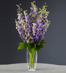Honesty Bouquet Honesty Bouquet