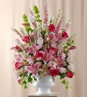 Solemnity Arrangement