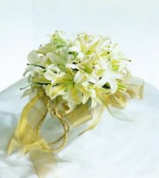White Wonders Bouquet White Wonders Bouquet