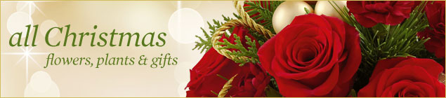 Christmas Flowers By Corte Madera Florist 