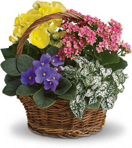 Spring Has Sprung Bouquet