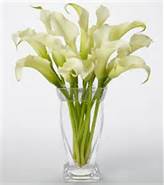 White Calla Lily Bouquet