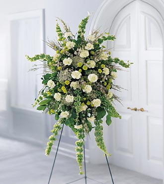 The Splendor Standing Spray